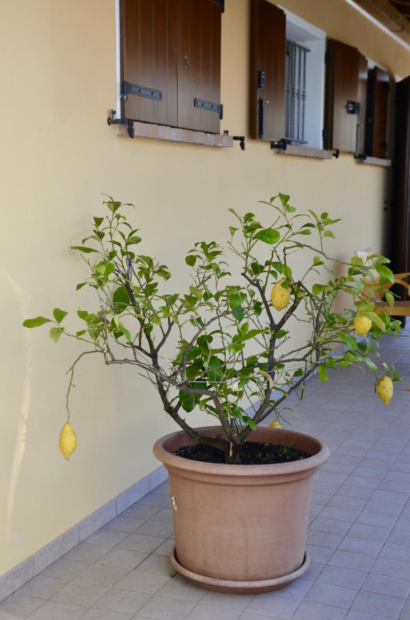 A Casa Di Amici Vila Vidor Exterior foto